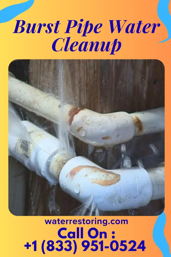 Burst Pipe Water Cleanup in Waupun, WI