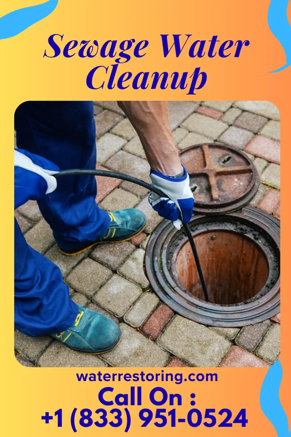 Sewage Water Cleanup in Waupun, WI