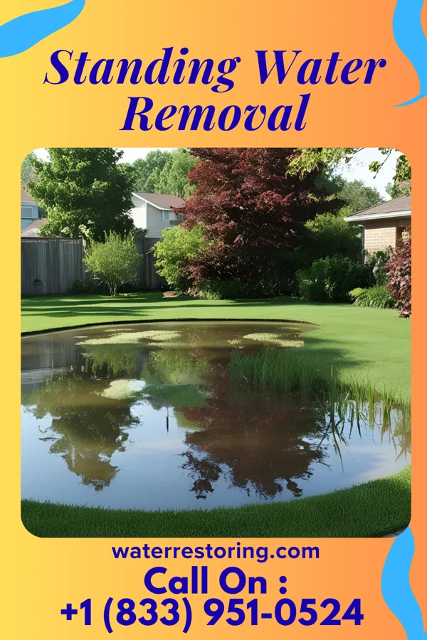 Standing Water Removal in Waupun, WI